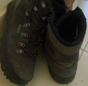 Manyani Delight Travels